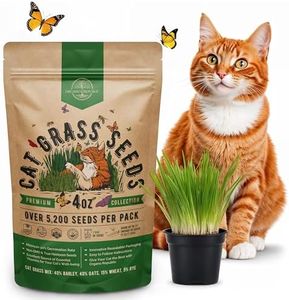 Cat Grass 