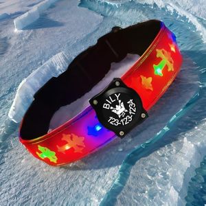 Customlized airtag Dog Collar Personalized Light up Dog Collar with Waterproof airtag Holder, 4 Modes Running Flashing Light (Pink, XL(19.7-23.6"))