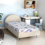 Centuary Beddy Nest Single Kids/bunk Bed Natural Coir Latex Mattress with Free Waterproof Protector (72 * 36 * 4 Inch)…