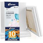 Artkey Canvases for Painting - 8 x 