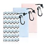 LifeArt 3 PCS Microfiber Cleaning Storage Glasses Pouch, Portable Sunglasses Case with Carabiner, Bonus 2 Anti Fog Wipes, Jd_pink&blue&striped, Medium