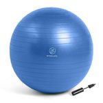 Wiselife Exercise Ball,Physical Therapy Yoga Ball for Home,Gym Ball for Stability,Workout Fitness, Anti-Burst, Slip Resistant Balance Ball Chair for Office, Swiss Ball with Air Pump (Blue, 65 cm)