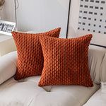 Kevin Textile Fall Soft Velvet Solid Square Decorative Cushion Cover Handmade Pillowcase with Hidden Zipper for Seasonal Autumn 2 Packs 18x18 Inch Burnt Brick