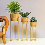 W A Handicrafts Modern Metal Floor Flower Stands for Living Room Bedroom Display Plant Stand Tall Indoor Plant Stand with Planter Pot | Set of 3, Gold