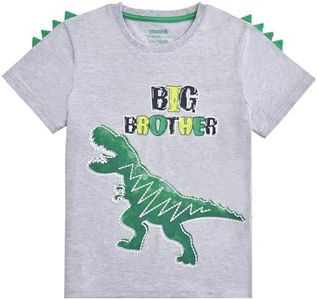 Dinosaur Big Brother Announcement T Shirt Sibling Outfits for Toddler Boys…, Grey, 2-3 Years