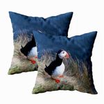 TOMWISH Cute Little Puffin Pillow Covers 18X18 Inch Set of 2 Cute Little Puffin on The Cliff in Vic Southern Iceland Farmhouse Decorative Throw Pillow Covers Square Cushion Case for Home Sofa Couch