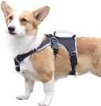 No Escape Dog Harness, Multi-Support Harness, Fully Reflective Harness with Padded Handle, Breathable,Durable, Adjustable Vest for Medium Dogs Walking, Training, and Running Gear Black (Medium)