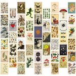 GROBRO7 50Pcs Vintage Botanical Wall Collage Kit, Aesthetic Picture Indie Room Decor, Art Posters for Dorm Wall Decor, Wall Art Prints for VSCO Girls Boys, Bedroom Decor for Primitive Creature Lovers