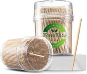 TerraToss Wooden Toothpicks | 2 Packs of 250 Toothpick Sticks (500 Sticks) | Sturdy Smooth Finish Tooth Picks Sticks | Toothpicks Wooden (500)