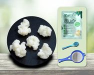 Feelgood Kefir™ - LIVE HAND-PICKED EXTRA LARGE SIZED (PREMIUM) Milk Kefir Grains (10 Grams) | Complementary Large Strainer, Spoon & 1 Milk Kefir Starter Culture Sachet | MSDS & FSSAI Certified | Contains 55-60 Strains of Live Active Cultures* | Lifetime Reusable & Multiplying Grains | Lifetime Support | Instructions Manual, Demo Video, FAQs