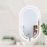 EMITTO LED Wall Mirror Oval Anti-Fog Bathroom Mirrors Makeup Light 60x100cm