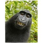 HommomH 60"x80" Monkey Blanket Funny Animal Selfie Blankets Soft Warm Plush Fleece Throw for Couch Sofa Bed