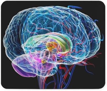 Cafepress – Brain Anatomy, Artwork – -gomma antiscivolo mouse, Gaming Mouse pad
