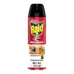 Raid Ant & Roach Killer Insecticide Spray-Fragrance Free - 17.5 oz