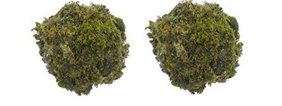 Dr. Arya's Natural Dried Moss Grass Preserved For Pots With The Nice Green Appearance For Home and Garden - 2 KG