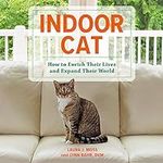 Indoor Cat: How to Enrich Their Liv