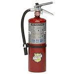 Buckeye 10914 Fire Extinguisher, Pa
