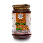 PAHAD KI SANJEEVNI Apricot Chutney 500GM (Pack of 2)