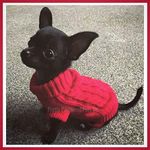 Chihuahua Clothes Clothing Red Teacup Puppy Dog Coat Dog Jumper Small Puppy Dog Coat (XXS)