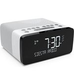 Pure Digital Radio Alarm Clock, Acrylonitrile Butadiene Styrene (ABS), Polar, One Size