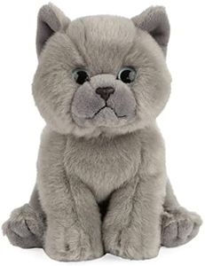 Living Nature Soft Toy - Plush Pet Animal, British Grey Shorthair Kitten (18cm) - Realistic Soft Toys with Educational Fact Tags 18.0 cm