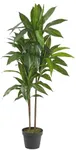 Nearly Natural 48in. Dracaena Artif