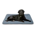 Pad For Dog Crate 42