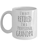 I'm Not Retired I'm a Professional 