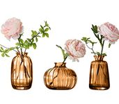 Glass Bud Vase Set of 3, Decorative Small Vase for Table Living Room Bedroom Home Office Kitchen Decor Brown