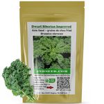 Dwarf Siberian Improved Kale Seeds for Planting (Approx. 3,000 Kale Seeds-12 Grams) Heirloom Non-GMO Seeds Vegetable Home Gardening