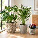 ShangDemonMaster Round Concrete Style Planter Set of 3, Large Outdoor Flower Pots with Drainage, Stone Texture Plant Pots for Indoor Outdoor Garden, Patio & Balcony Décor (3, Sandstone)
