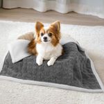 LOOBANI Waterproof Bed Blanket for Dogs: Pet Blanket Liquid Pee Proof for Bed Couch Sofa, Soft Warm Sherpa Fleece Washable Reversible Blanket, Waterproof Blanket for Small Dogs Cats, 25"x 35"