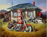 ABEUTY DIY Paint by Numbers for Adults Beginner, Motorcycle on The Grass Outside The House 16x20 inches Number Painting (No Frame)