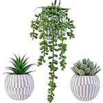 Winlyn 3 Pack Artificial Succulent 