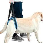 ROZKITCH Pet Dog Support Harness Rear Lifting Harness Veterinarian Approved for Old K9 Helps with Poor Stability, Joint Injuries Elderly and Arthritis ACL Rehabilitation Rehab (S)