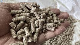 WOODFRESS Wood Pressed Oil Cake Pellets, Cattle & Animal Feed, Plant Fertilizer, Food for Cow, Buffalo & Bulls (Coconut Oilcake Pellets 2Kg)