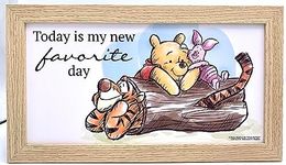 Silver Buffalo Disney’s Winnie the Pooh and Friends Gel Coat 10" x 18" Framed MDF Wall Art – Winnie the Pooh Inspirational quote “Today is my new favorite day”.