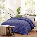 Regal Comfort Comforters