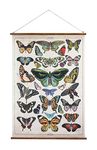 Creative Co-Op Butterflies Burlap & Wood Scroll Wall Décor