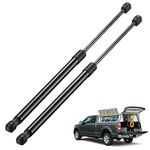 BDFHYK SX200P15 20inch 15lbs (66N) Gas Shocks Struts Lift Support for RV Door Tonneau Cover Camper Bed Trailer Door Truck Bed Motorhome Bed Travel Trailer Bed Mattress etc, Set of 2