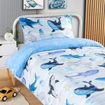 Olivia Rocco Sharks Duvet Cover Set Bedding for Kids Soft Cotton Reversible Design Quilt Bed Covers with Pillowcases, Single