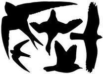 BestNest Esschert Design Bird Strike Black Warning Decals, Pack of 6