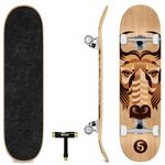 SKATRO - Pro Skateboard 31" Complete Skateboard. Skate Board Ages: Adults, Boys, Girls, Beginners, and Kids