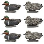 Cupped Waterfowl Teal Duck Decoys, 