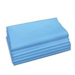 ISHTA 30 GSM 5 Pieces Disposable Waterproof Non-Woven Fabric Bed Sheet for Patients, Massage Bed, Salon, Hospital Bed, Adults & Best for Travel (60 x 30 Inch, Blue)