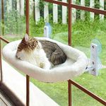 Cat Hammocks