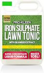 Pro-Kleen Lawn Tonic Liquid Iron Sulphate Quality Ferrous Conditioner, Fertiliser, Grass Greener, Turf Hardener | Long-Lasting for a Healthier Looking Garden | Helps Prevent Lawn Disease (5 Litres)