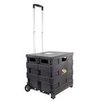 dbest products Quik Cart Sport Coll