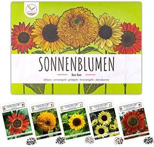 Semillas de girasol de colores con alta tasa de germinación - semillas de flores para un colorido y amigable jardín de abejas (set de 5)