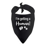 1 Piece I'm Getting A Little Human Dog Bandana Pregnancy Announcement Baby Announcement Gift (Getting A Little Human Black)